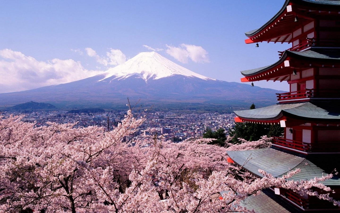 fuji-japan-wallpaper-high-quality-and-japan-wallpaper-widescreen-hd-iphone-wallpapers-free-download-ipad-guide-pack-girl-wallpaper-295462683.jpg